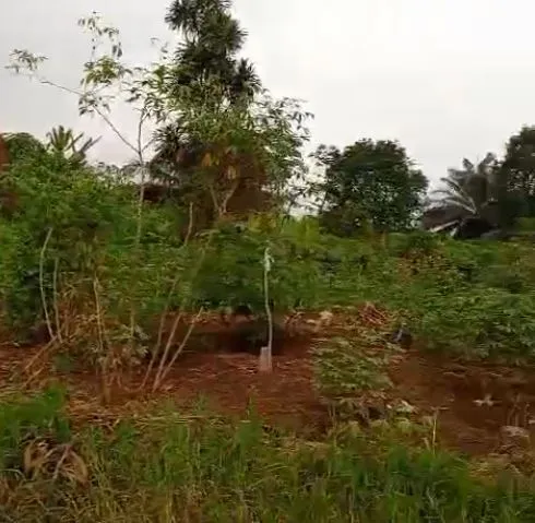 Main Photo - Real Estate | Land For Sale | Land For Sale – Bakweri Town, SandPit, Buea, Cameroon