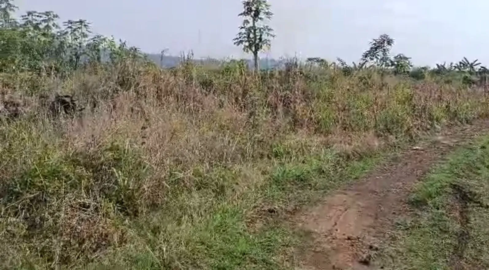 Main Photo - Real Estate | House For Sale | Premium Land For Sale At Lower Moveo (Behind Eneo Office), Lower Meveo, Mutengene, Cameroon