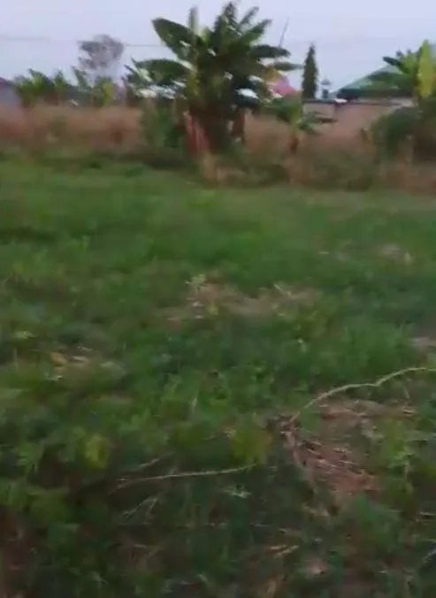 Main Photo - Real Estate | Land For Sale | Prime Land For Sale: Tiko Golf Area ⛳, Golf New Layout, Tiko, Cameroon