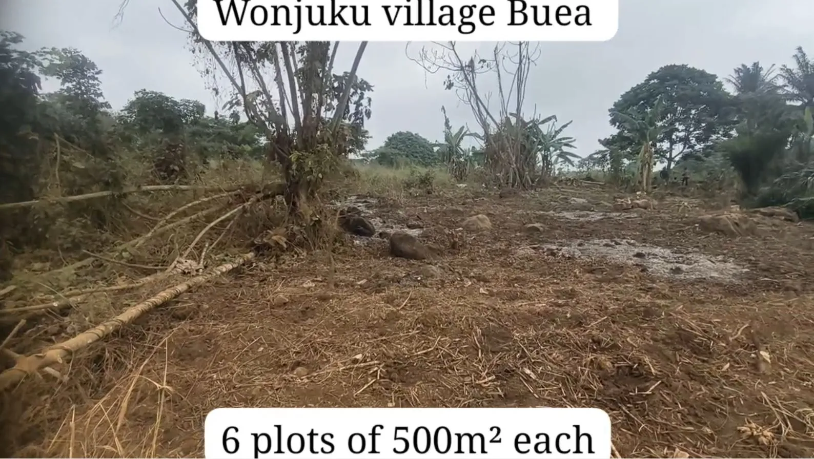 Main Photo - Real Estate | Land For Sale | New Listing Situate At Wonjuku Village-Buea, Wonjuku village-BUEA, Buea, Cameroon