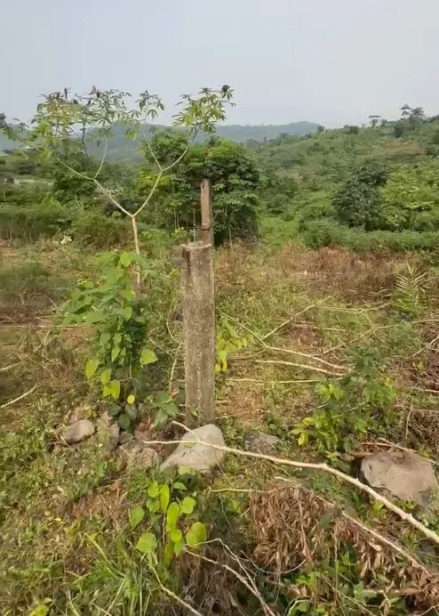 Main Photo - Real Estate | Land For Sale | New Listing – Distress Sale! 🚨, Man Na O Bay (Behind GTHS Limbe), Limbé, Cameroon