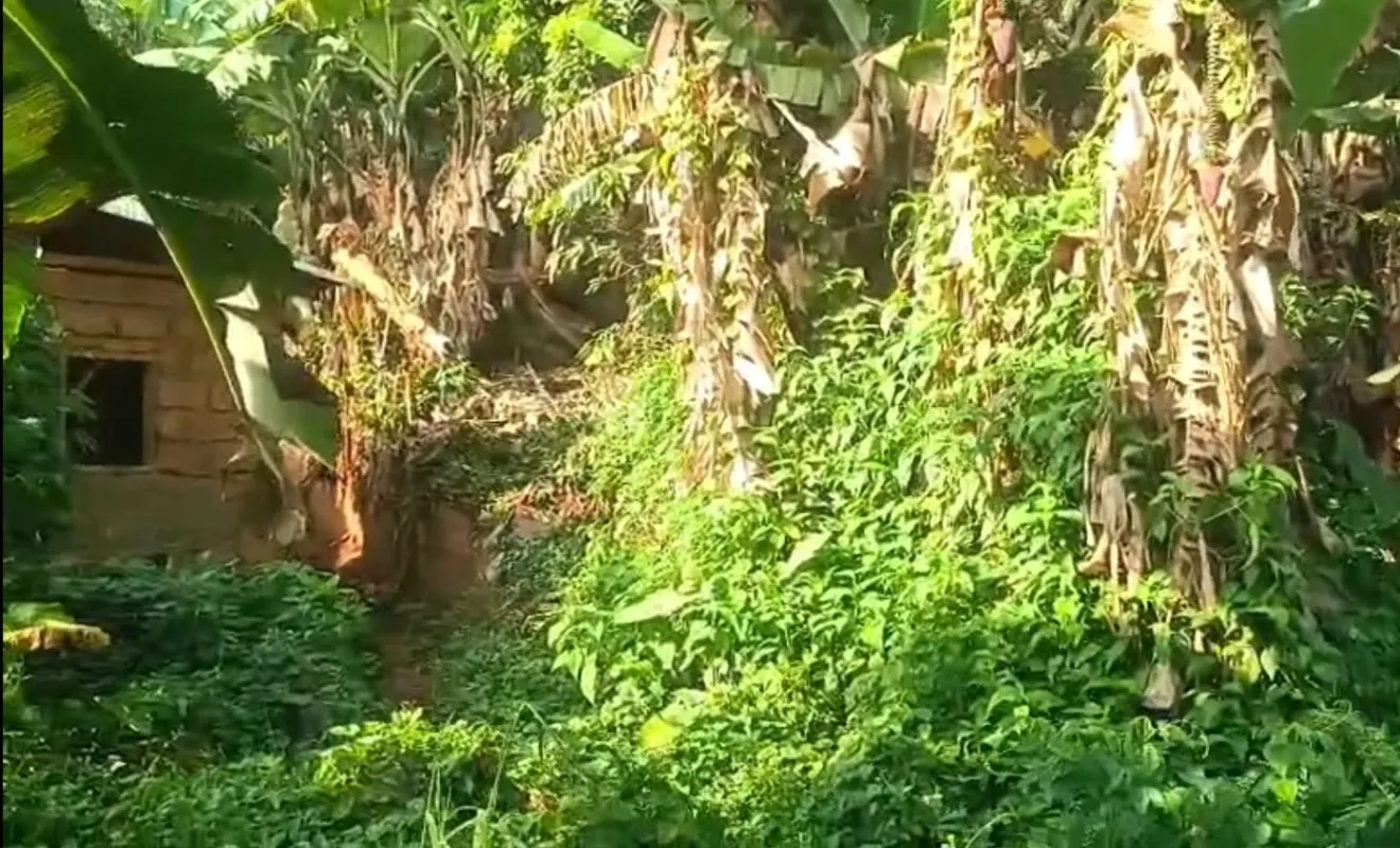 Main Photo - Real Estate | House For Sale | Land For Sale – Bamenda (Mile 3 Nkwen) 📝, Nkwen, Bamenda, Cameroon