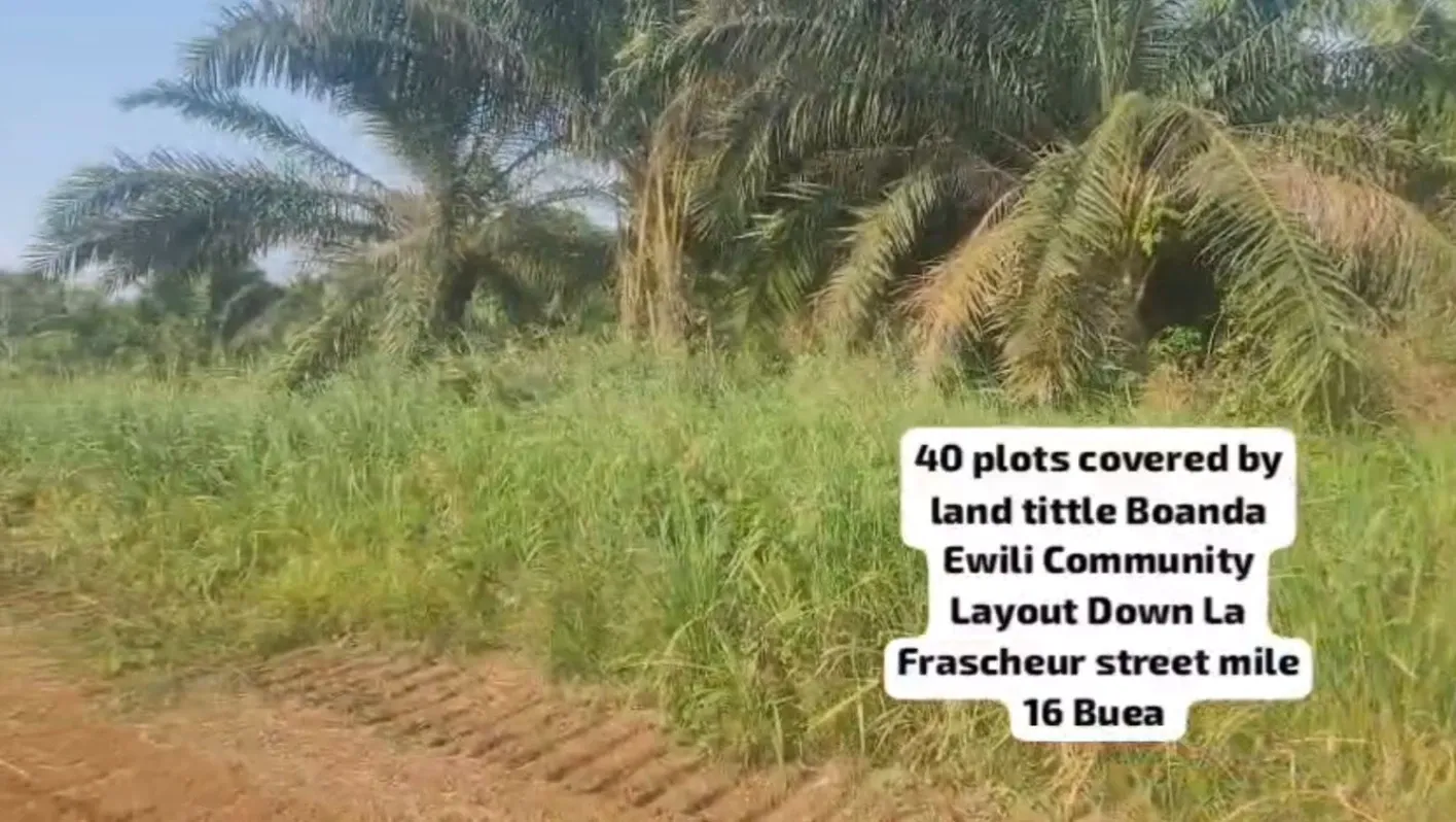 Main Photo - Real Estate | Land For Sale | New Lands Listing At Boanda Ewili Community Layout Down La Frascheur Mile 16, Boanda Mile 16, Buea, Cameroon