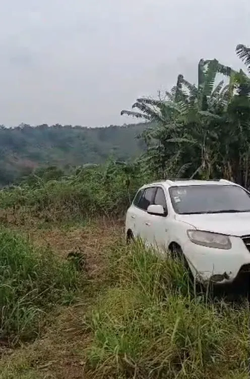 Main Photo - Real Estate | Land For Sale | Land For Sale – Prime Location In Lower Meveo 🚨, Lower Meveo (Behind GHS Mutengene), Mutengene, Cameroon