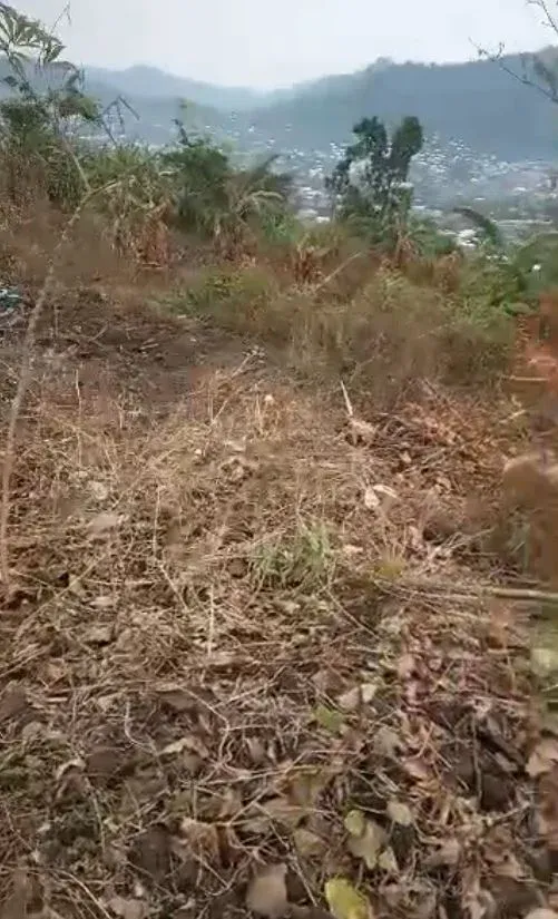 Main Photo - Real Estate | House For Sale | Golden Opportunity – Land For Sale In Limbe 🌟, Mile II, Limbé, Cameroon