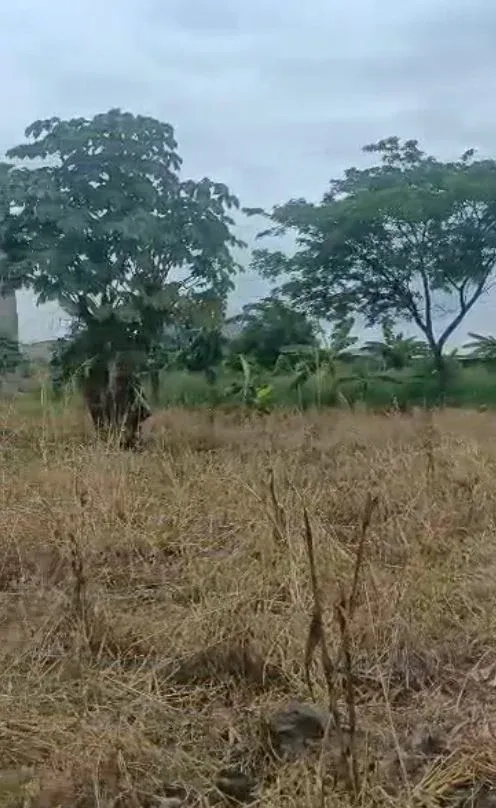 Main Photo - Real Estate | Land For Sale | Land For Sale – Hot Deal In Ngeme - Limbe, Ngueme Native, Limbé, Cameroon