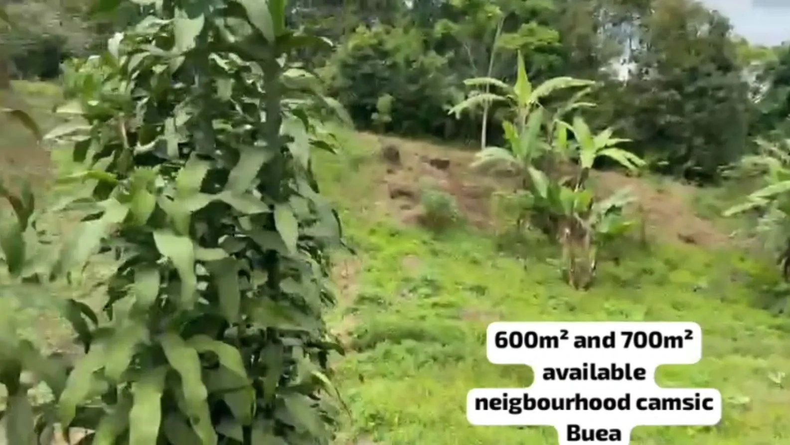 Main Photo - Real Estate | Land For Sale | Land For Sale At Camsic, CAMSIC, Buea, Cameroon