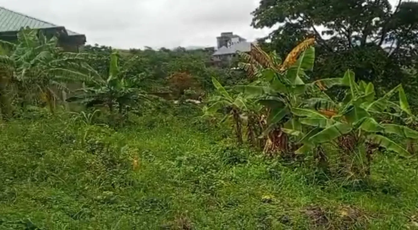 Main Photo - Real Estate | Land For Sale | Land For Sale – Ngeme, Limbe 🔥🔥, Ngueme Native, Limbé, Cameroon
