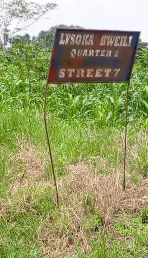 Main Photo - Real Estate | Land For Sale | Prime Land For Sale – Buea (Lysoka Road) 🇨🇲 🏡🌍, LYSOKA ROAD, Buea, Cameroon