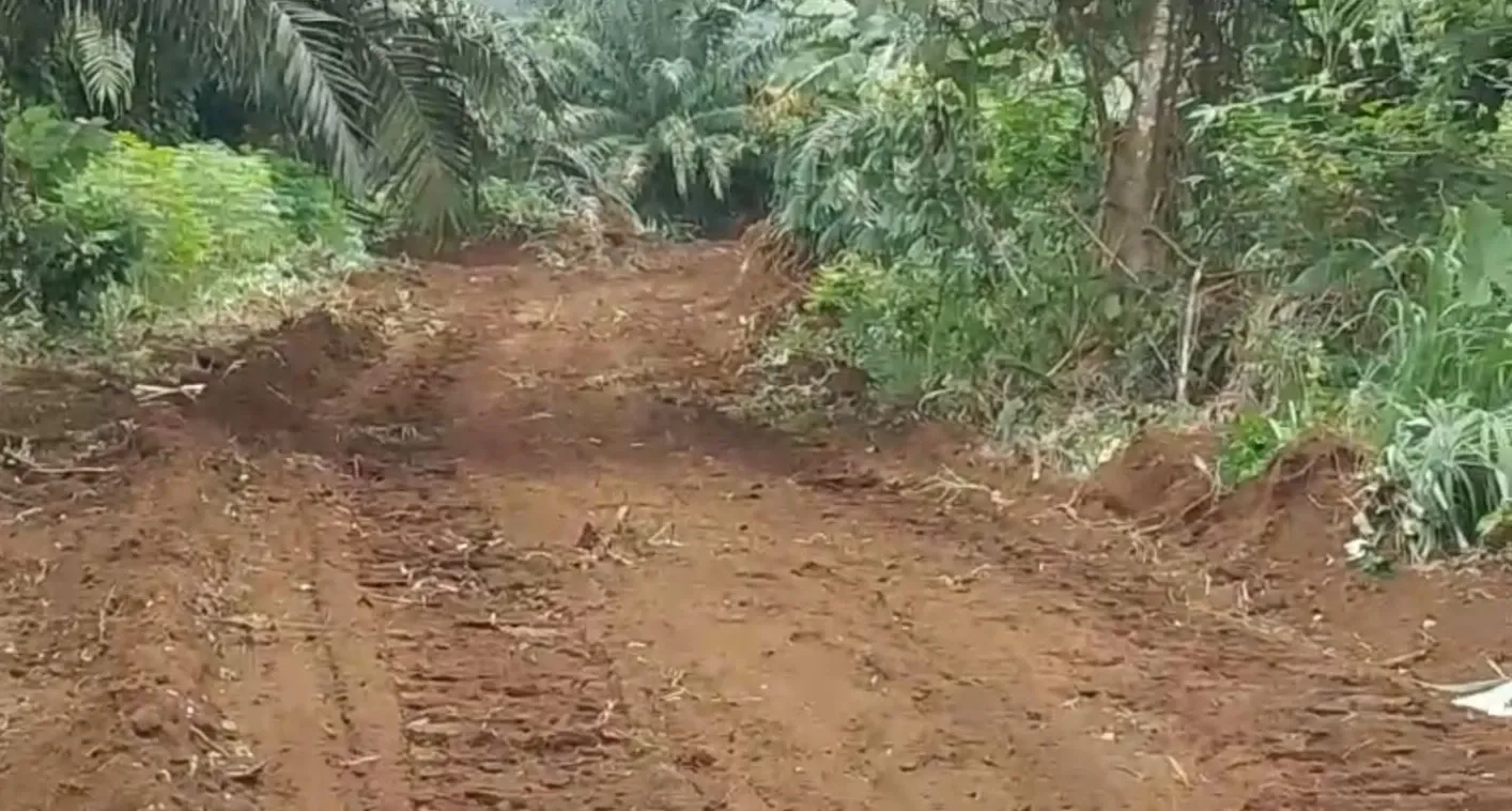 Main Photo - Real Estate | Land For Sale | Beach Land For Sale – Limbe, Batoke 🇨🇲 🏝️🌊, Batoke Village, Limbé, Cameroon