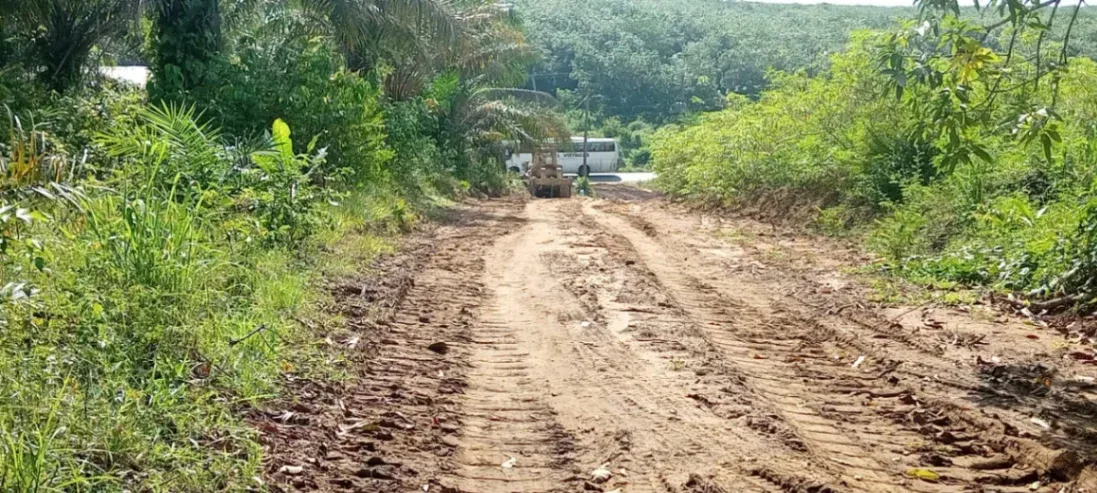 Main Photo - Real Estate | Land For Sale | Special Investment Opportunity – Land For Sale In Bonaberi Douala🚨, BOMONO, Bonaberi, Cameroon