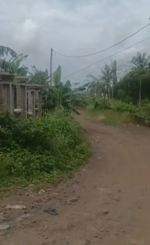 Land For Sale At Mile 4