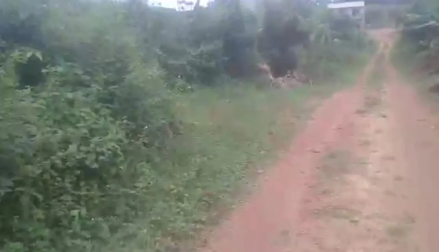 Titled Land With A Spectacular View Of Mbombo Beach For Sale