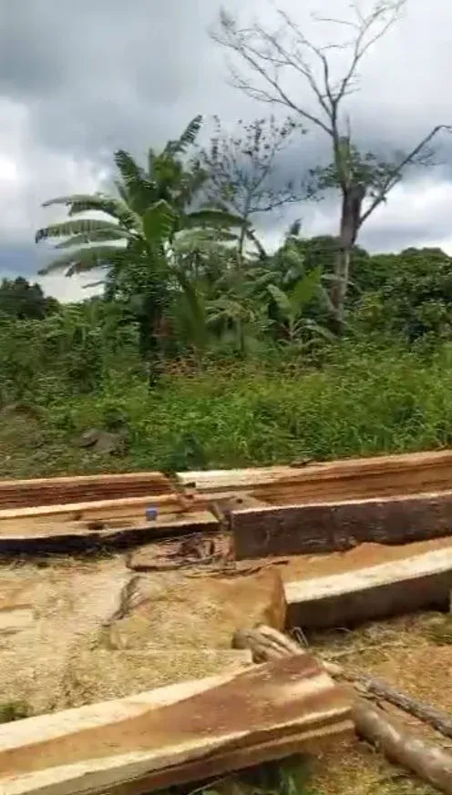 Main Photo - Real Estate | Land For Sale | Promotion! Promotion!! Promotion!!! 🎉, WONYAMEKUMBA, Buea, Cameroon