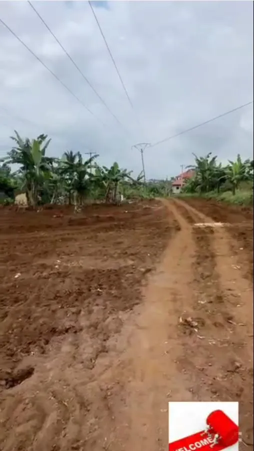 Main Photo - Real Estate | Land For Sale | Land For Sale At – Mokindi Isokolo, Limbe, Lisokolo, Limbé, Cameroon