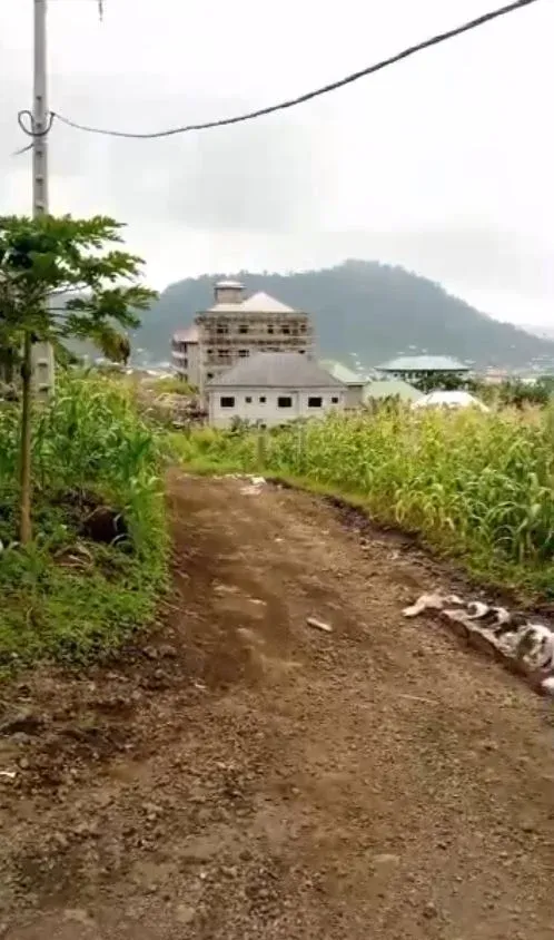 Prime Land For Sale – Busumbu
