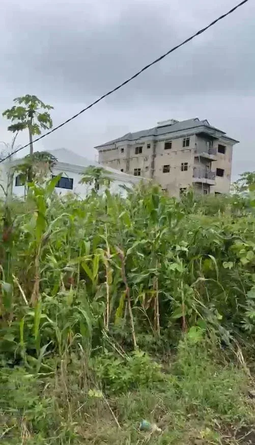 Prime Land For Sale – Buea 📍