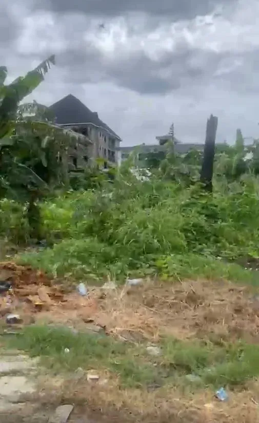 Main Photo - Real Estate | Land For Sale | Land For Sale – Limbe, Isokolo, Isokolo around EZE1, Limbé, Cameroon