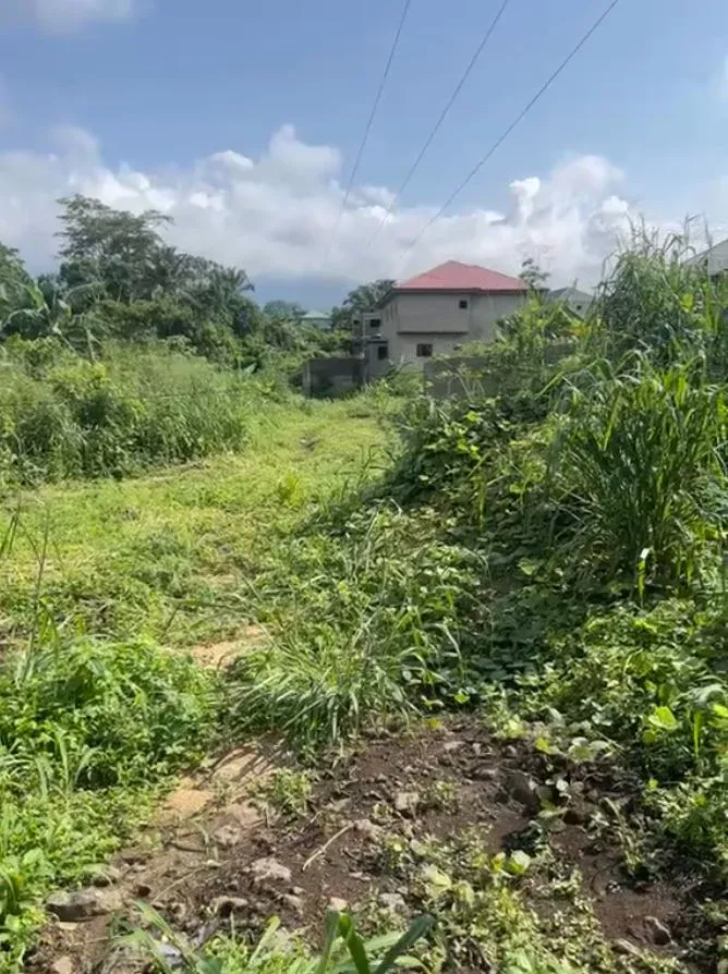 Main Photo - Real Estate | Land For Sale | Affordable Land Opportunity In Mile 4, Limbe!, Behind Kings College, Mile 4, Limbé, Cameroon