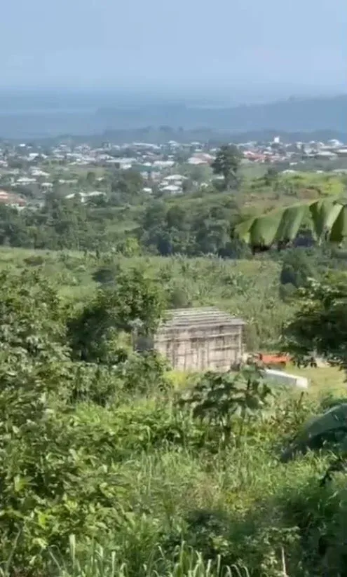 Main Photo - Real Estate | Land For Sale | 🏡 Affordable Land Opportunity – Mile 14 Dibanda!, Mile 14 Dibanda Hill, Mutengene, Cameroon