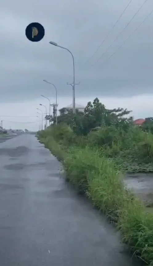 Main Photo - Real Estate | Land For Sale | Prime Land For Sale – Botaland Layout, Limbe 🏟️, Botaland New Layout, Limbé, Cameroon