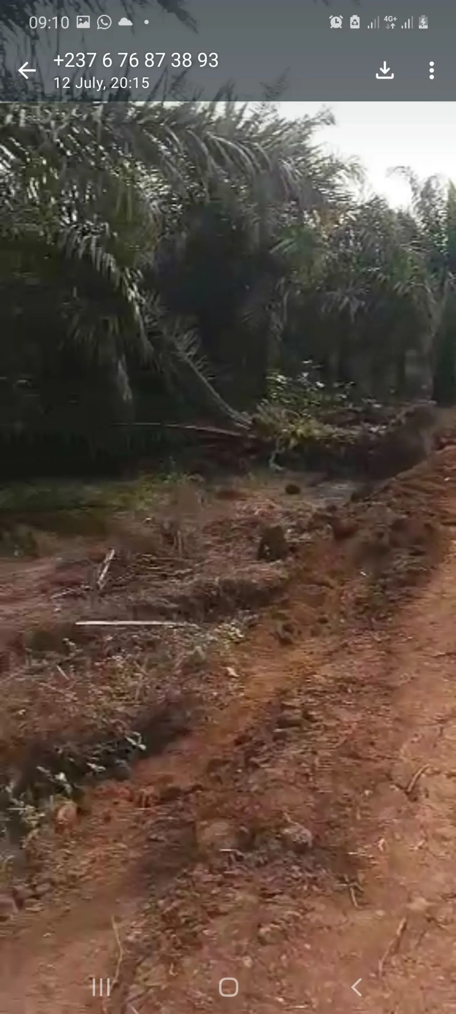 Land For Sale – Bomaka Quarter 9, Buea 🏡