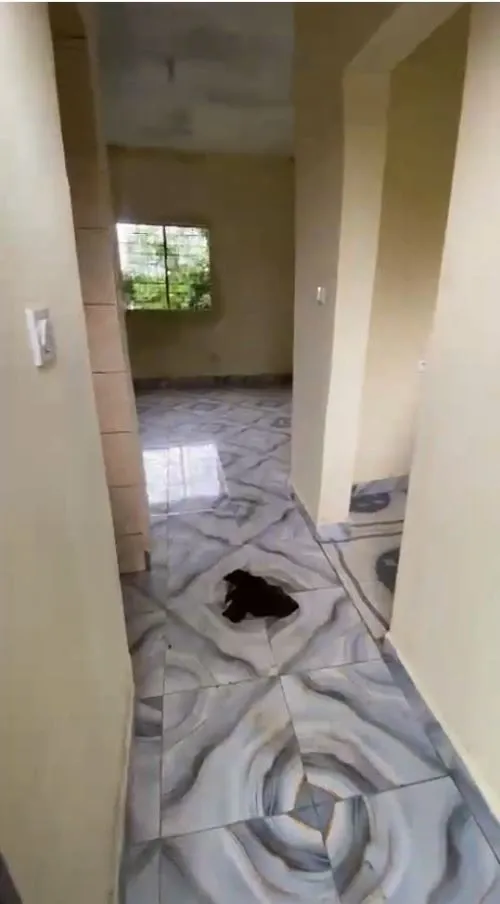 Main Photo - Real Estate | House For Rent | Newly Constructed R.k.t. For Rent, Behind UB Parish, Buea, Buea, Cameroon