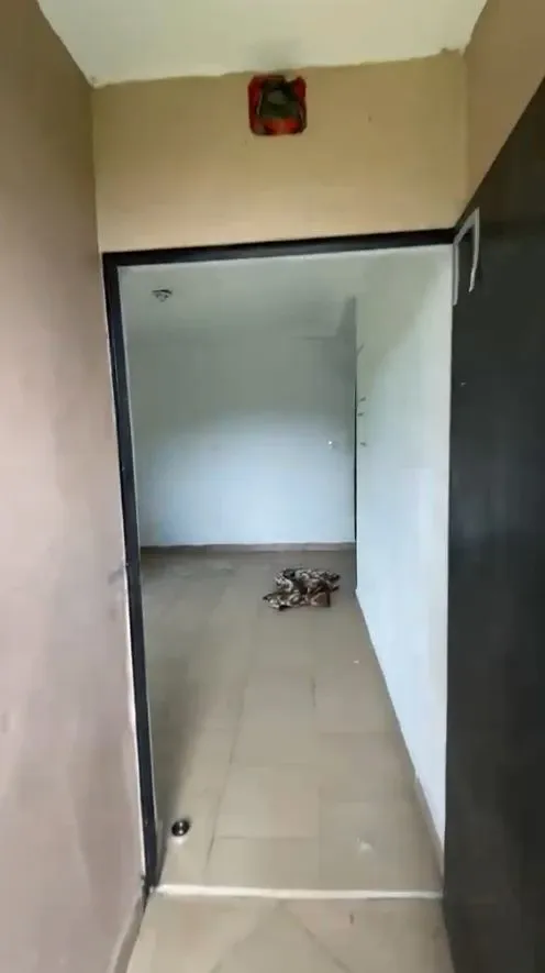Main Photo - Real Estate | House For Rent | Staff Room To Let In Bokwai – Comfortable & Secure, Bokwai, Buea, Cameroon