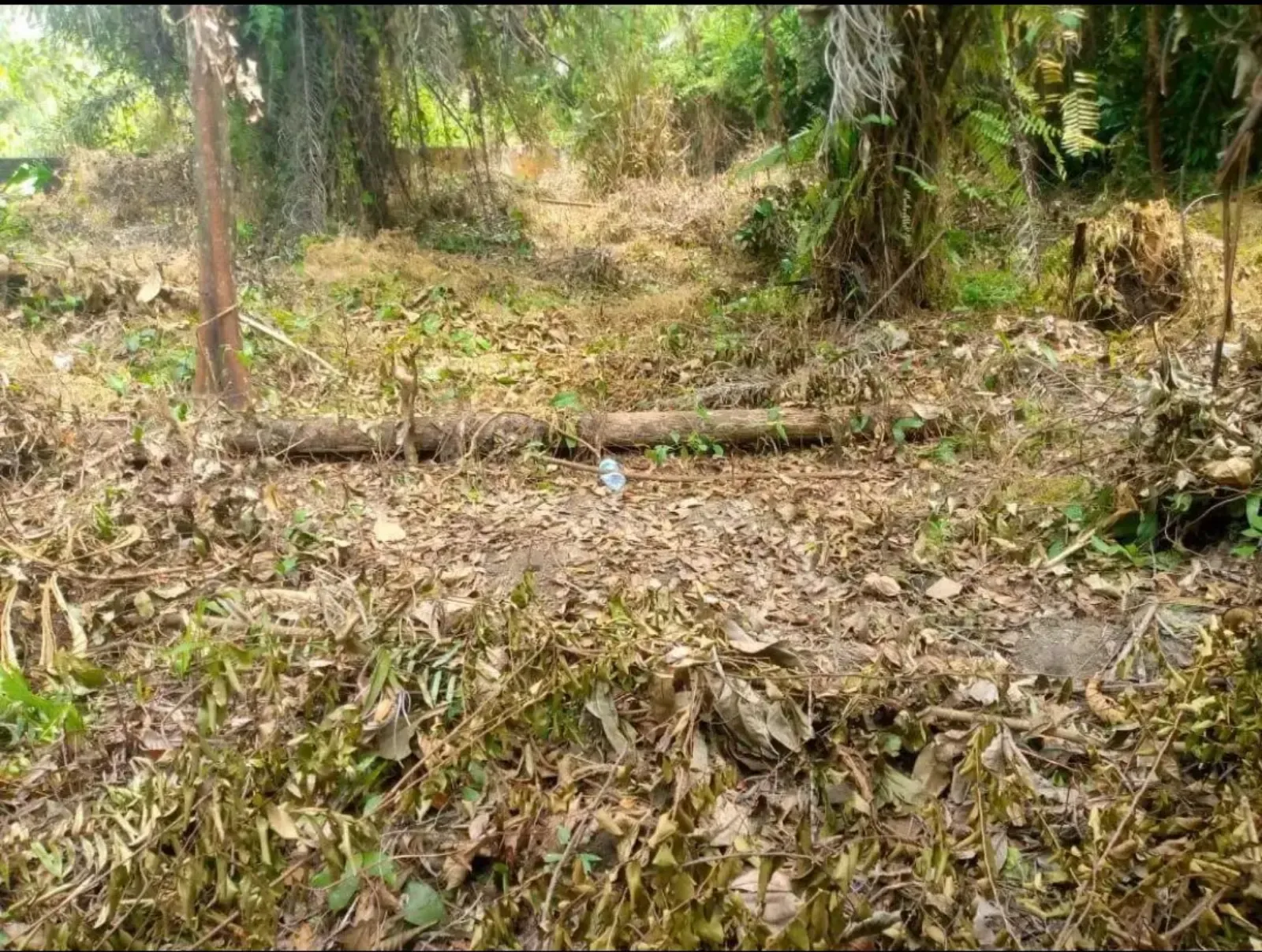 Main Photo - Real Estate | Land For Sale | Terrain À Vendre, All Libreville, Libreville, Gabon