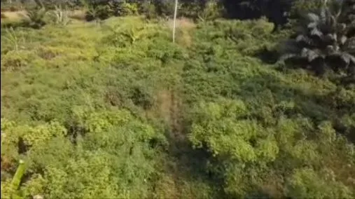 Main Photo - Real Estate | Land For Sale | Land For Sale In Tiko, BOMA STREET, Tiko, Cameroon